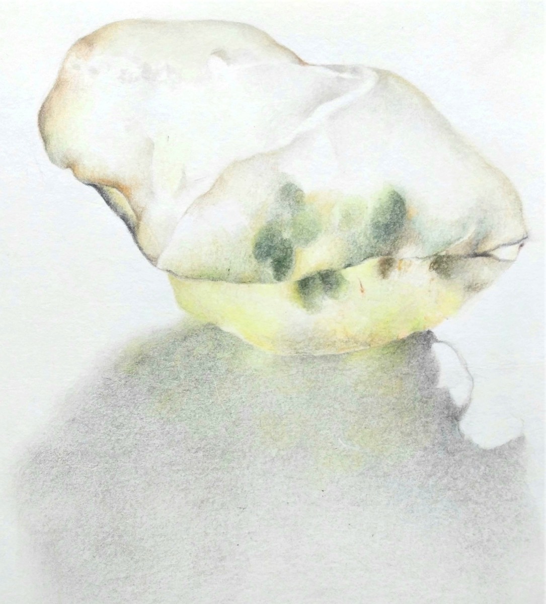 Drawings